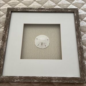 Rustic Brown Framed Sand Dollar Wall Art